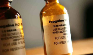 Ibogaine Therapy for Addiction: What Actually Works